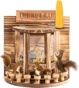 Squirrel Feeder for Outside