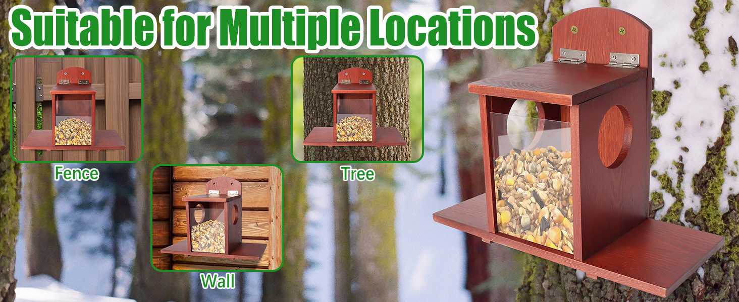 squirrel feeder
