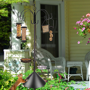 bird feeding station