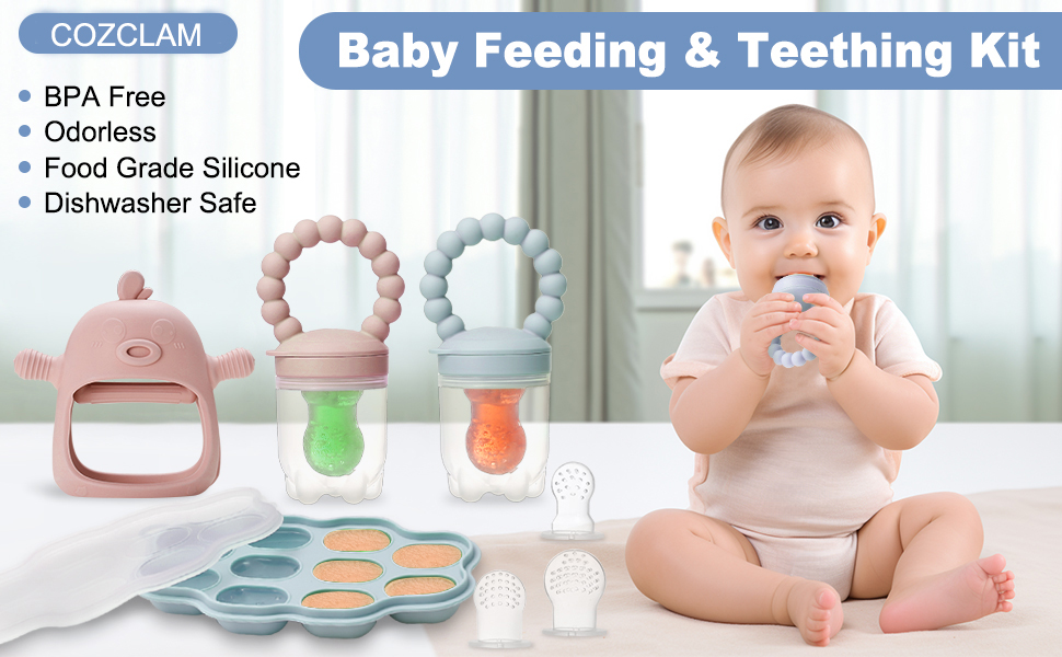 Baby Fruit Food Feeder Set