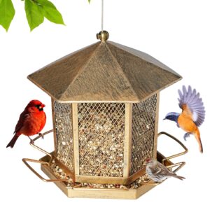 Squirrel Proof Bird Feeders