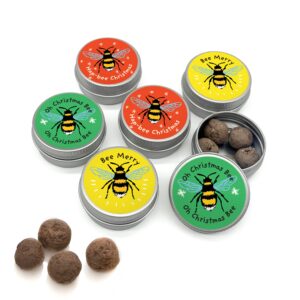 SEEDBALL Christmas Bees Wildflower Seed Bombs (Pack of 6