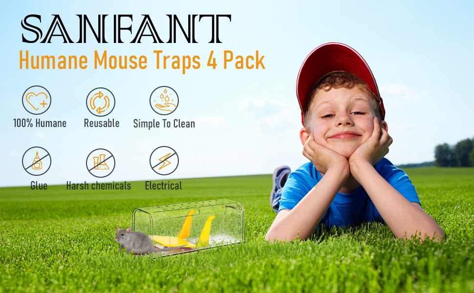 SANFANT Humane Rat Traps 4 Pack