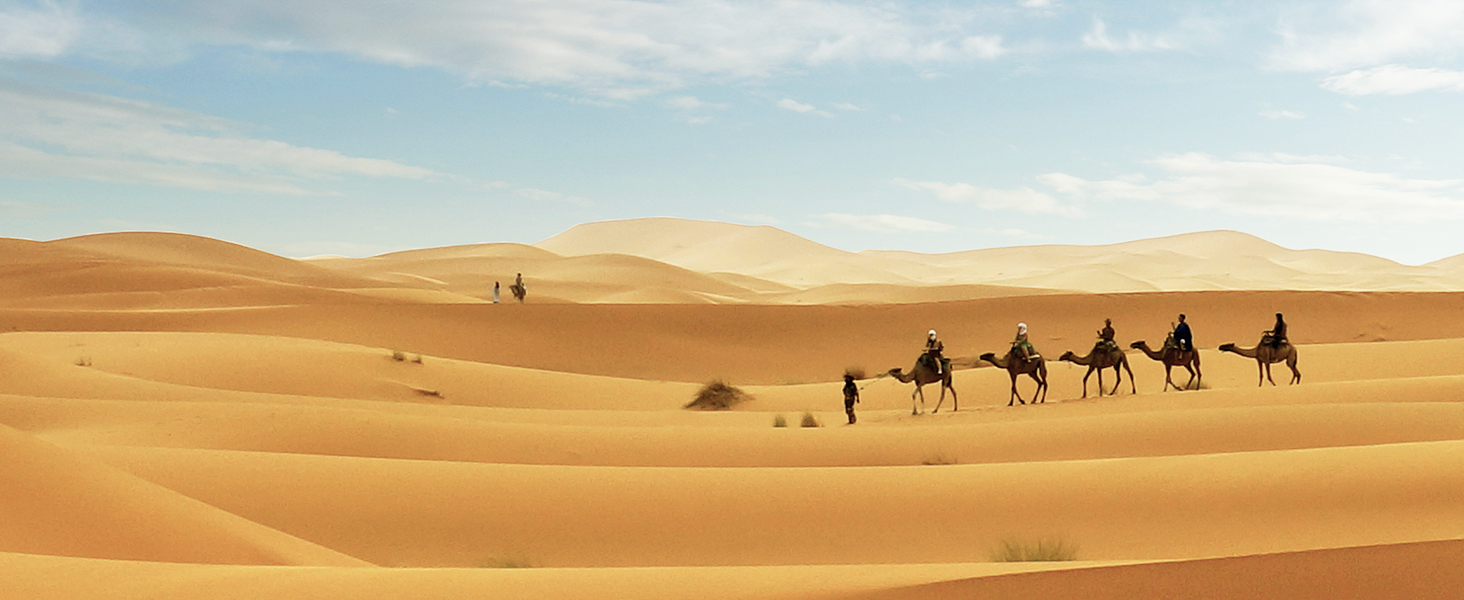 brave 7 le action camera