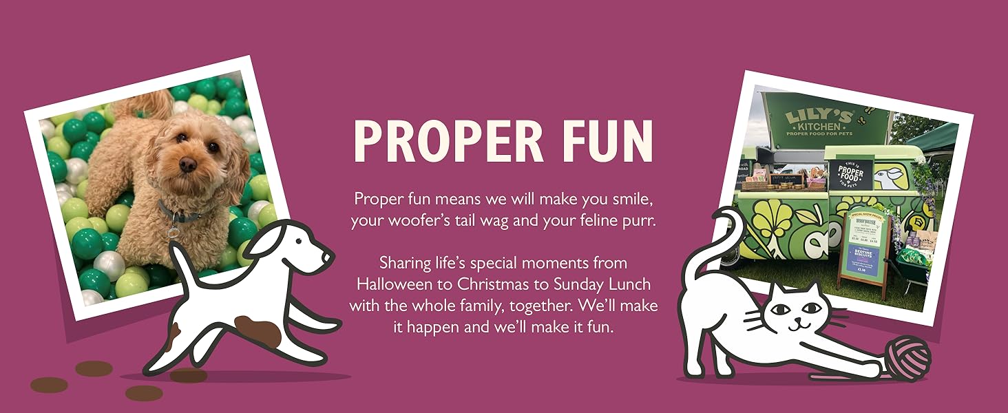 Lily’s Kitchen Proper Fun 2023 A+