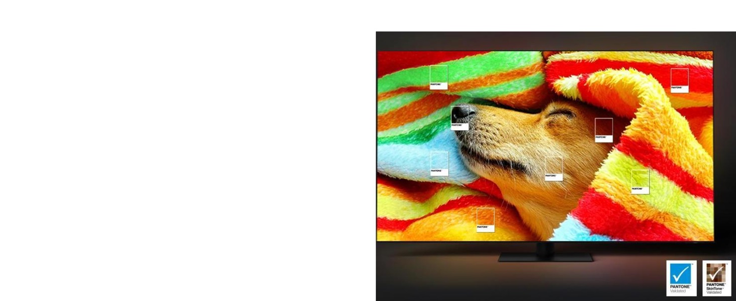 samsung tv q60d with pantone colours on the samsung tv