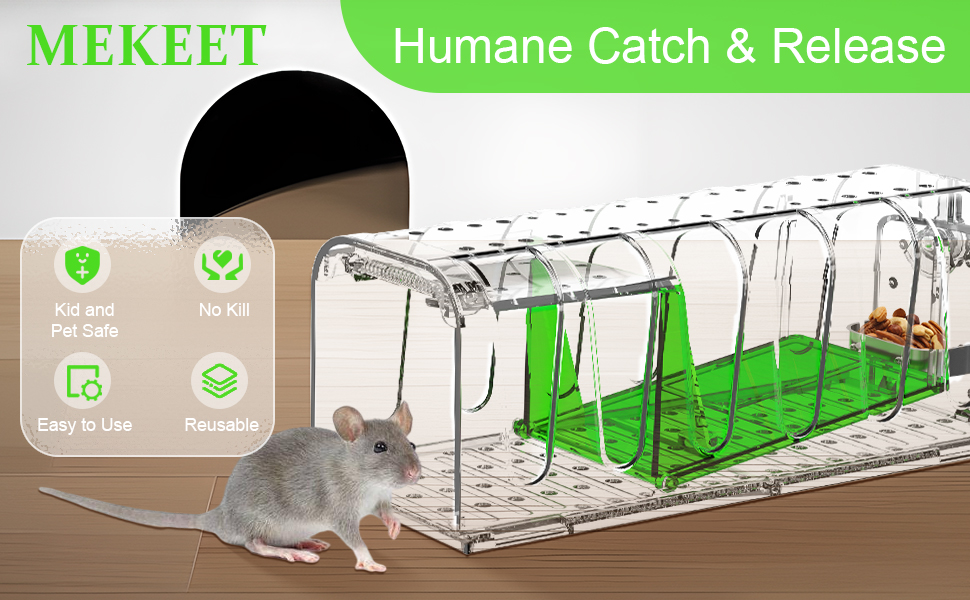 Humane Mouse Traps