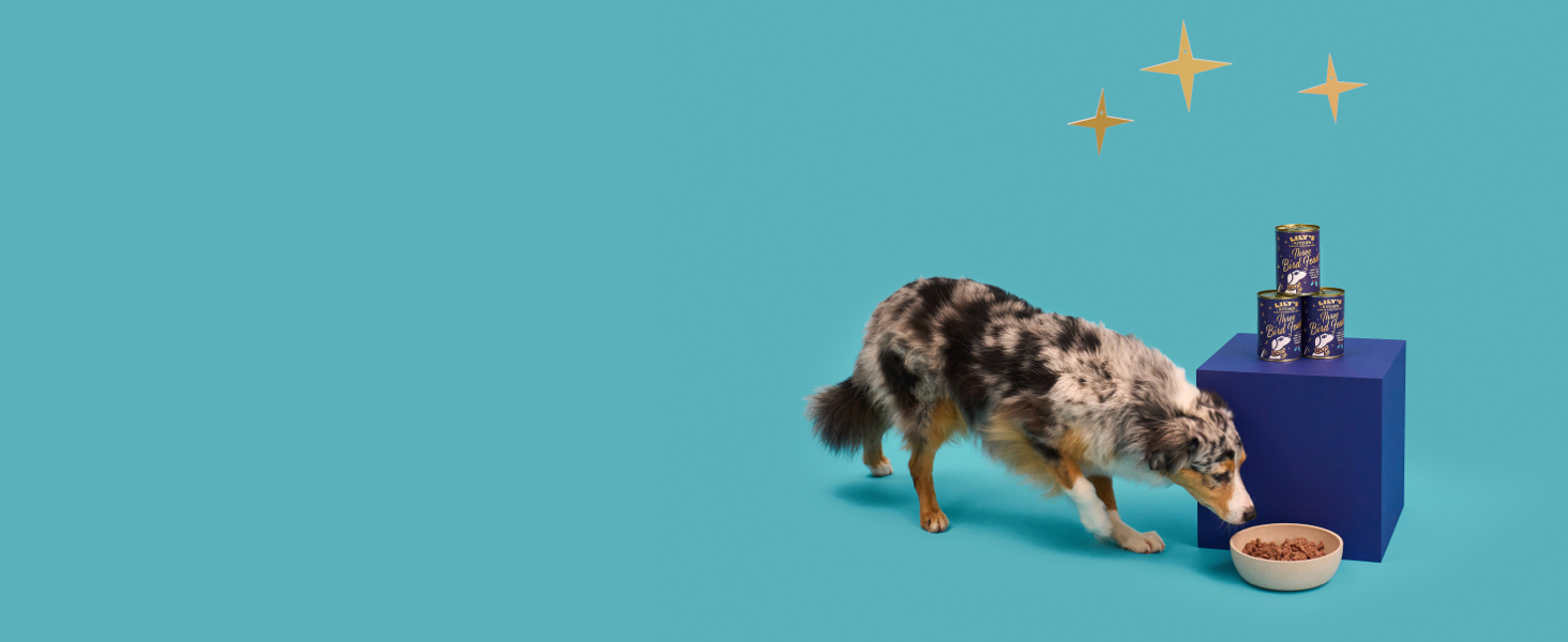 Lily’s Kitchen Christmas 2023 A+ Three Bird Feast