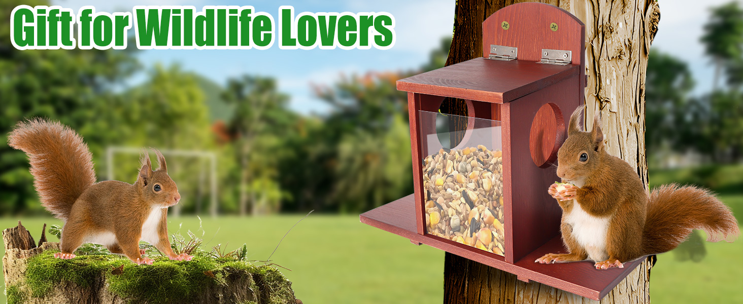 squirrel house