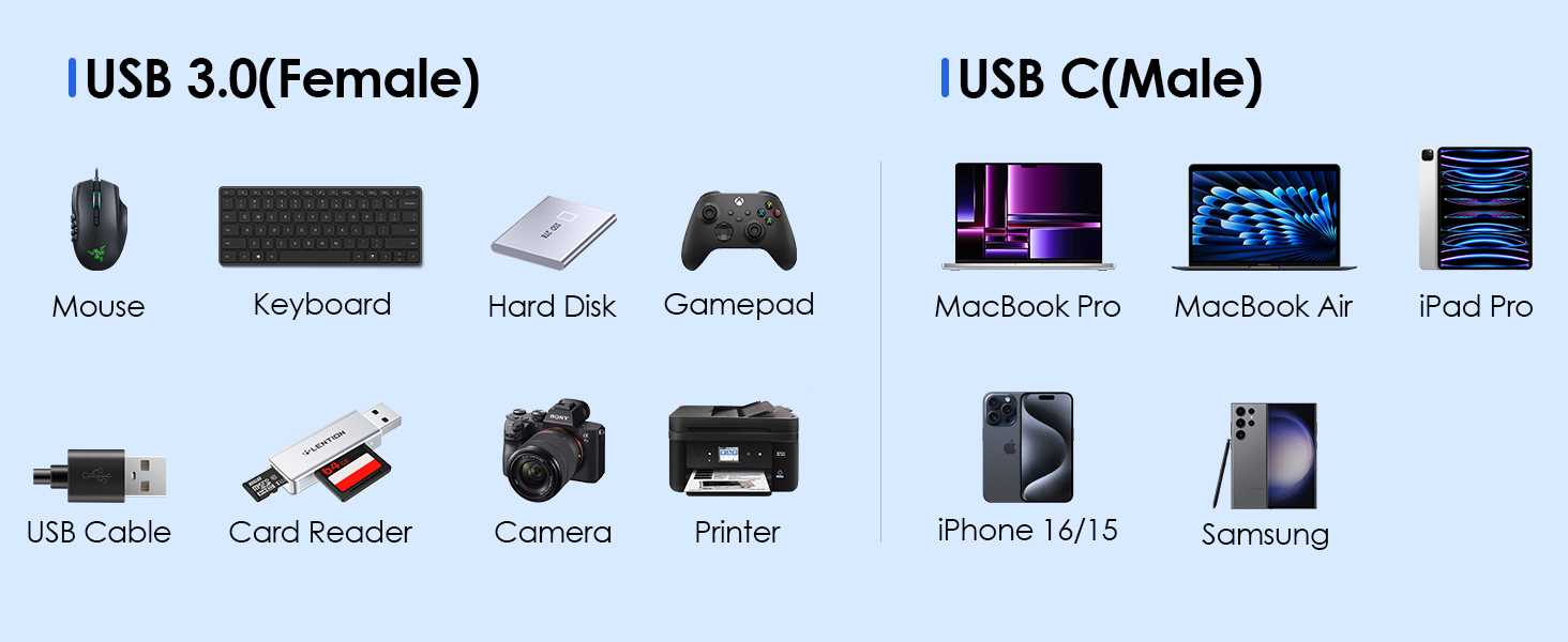 C3