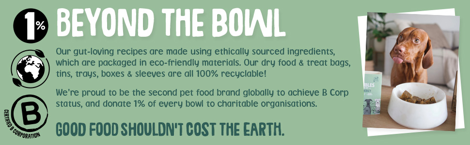 Beyond the Bowl