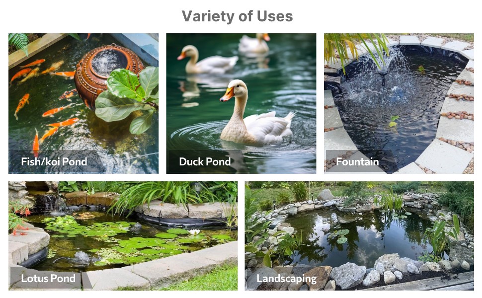 Pond Membrane