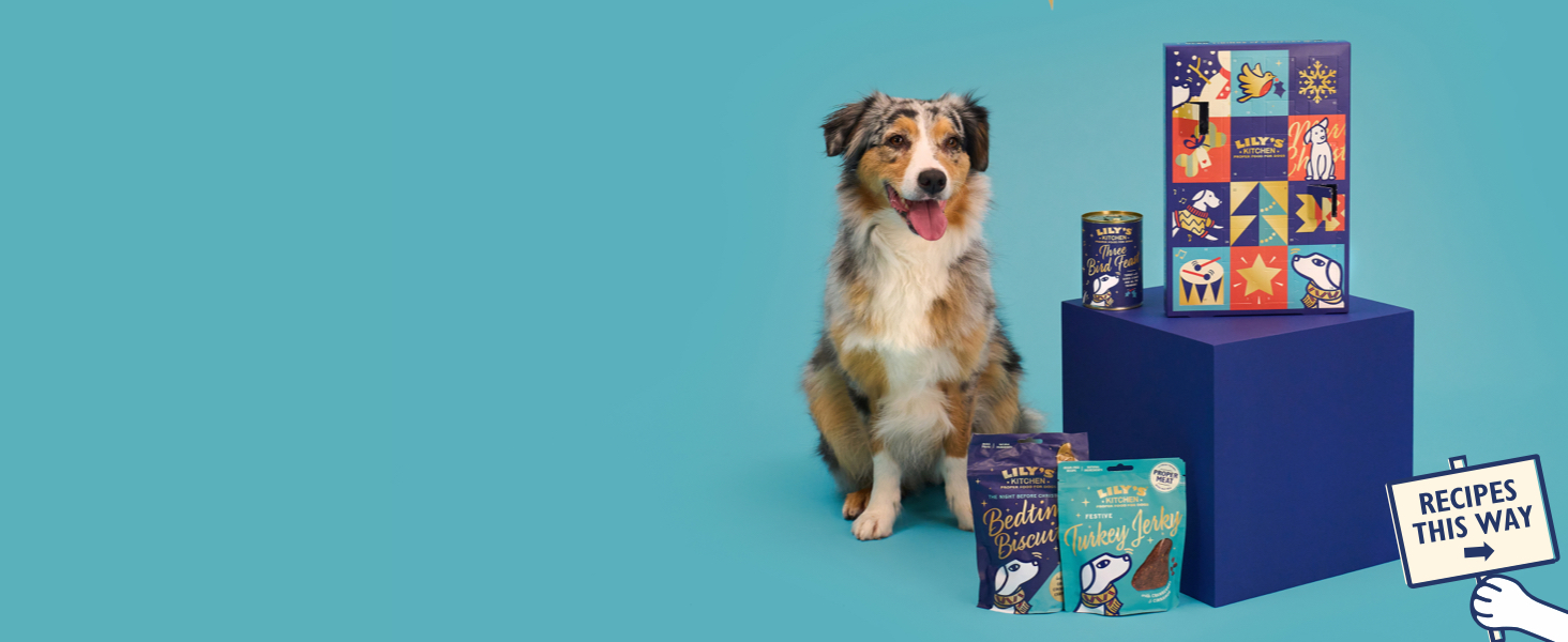 lilys Christmas 2023 A+ slider