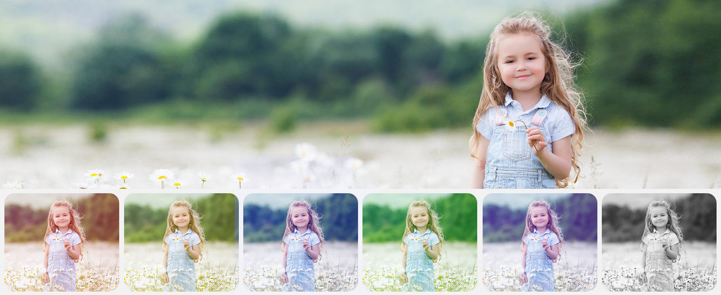 compact digital camera