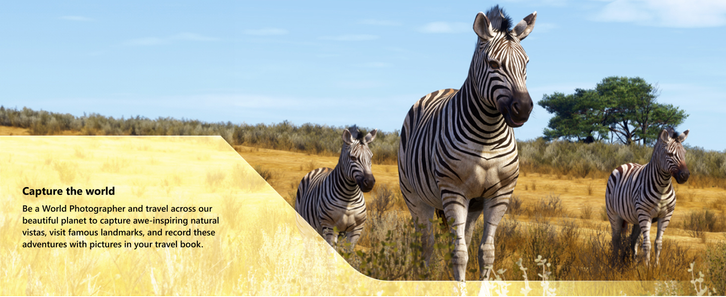 Flight Simu 2024 Premium Deluxe Steelbook