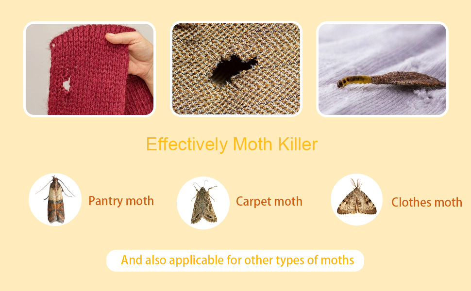Moth Traps for Kitchen