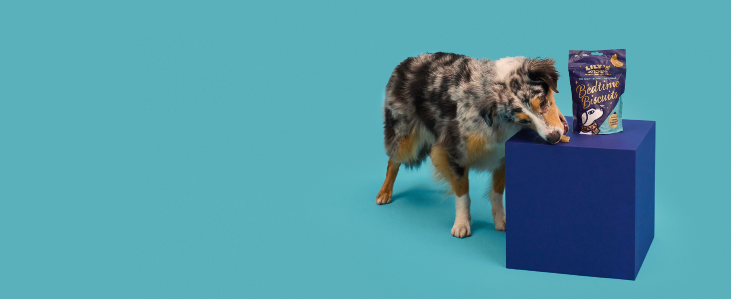 Lily’s Kitchen Christmas 2023 A+ Bedtime Biscuits