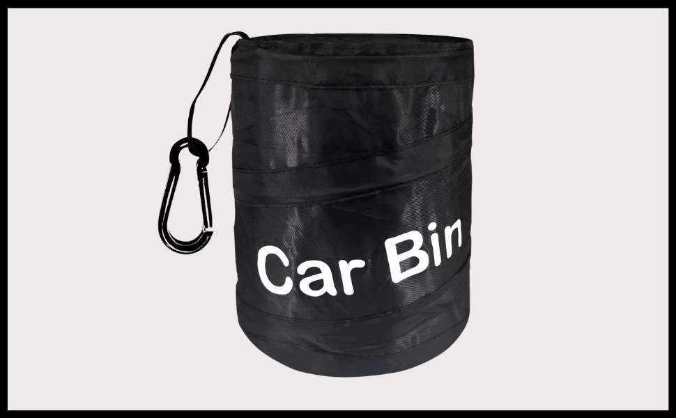 car bin