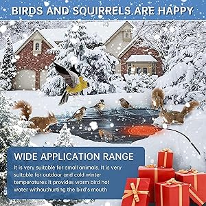 Automatic Bird Bath Heater