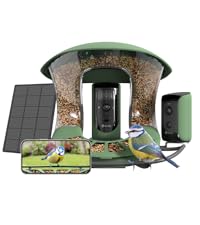 birdfy feeder 2 duo