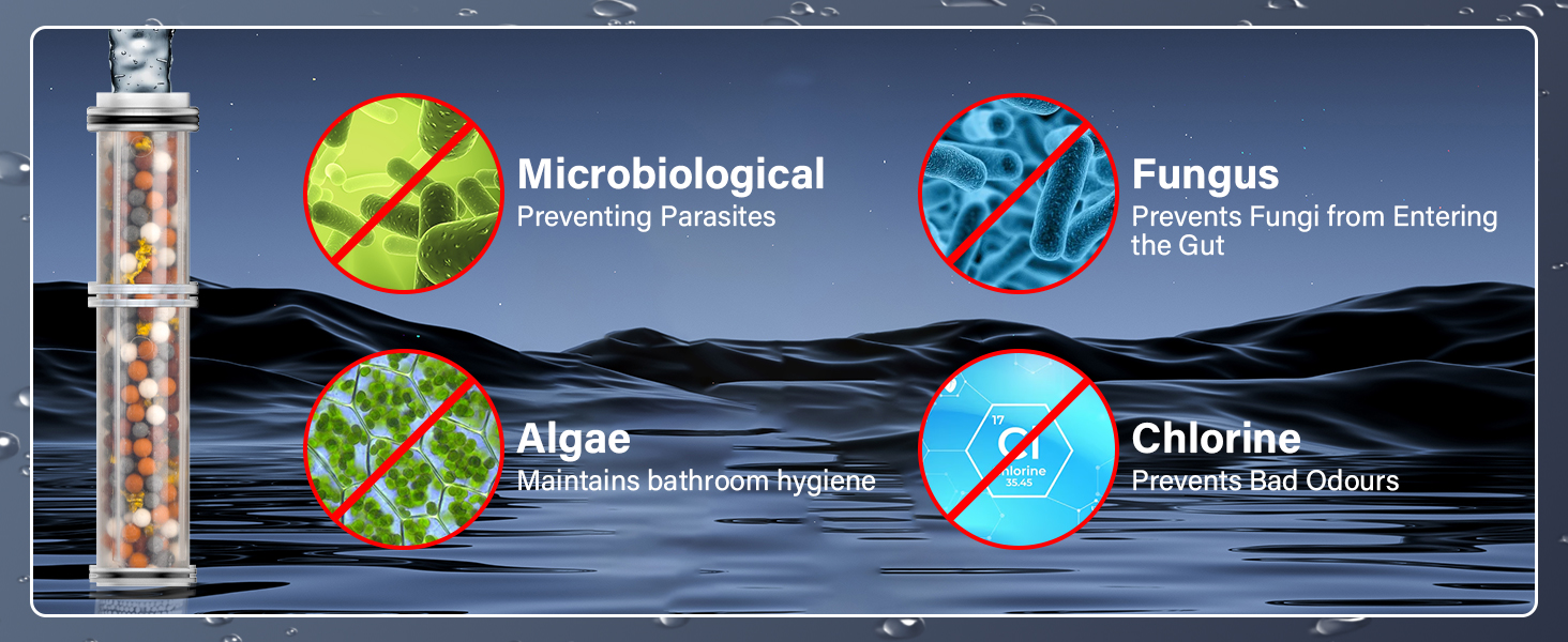 Shower Head with Filter