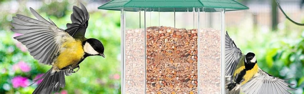bird feeder showing birds it can attract