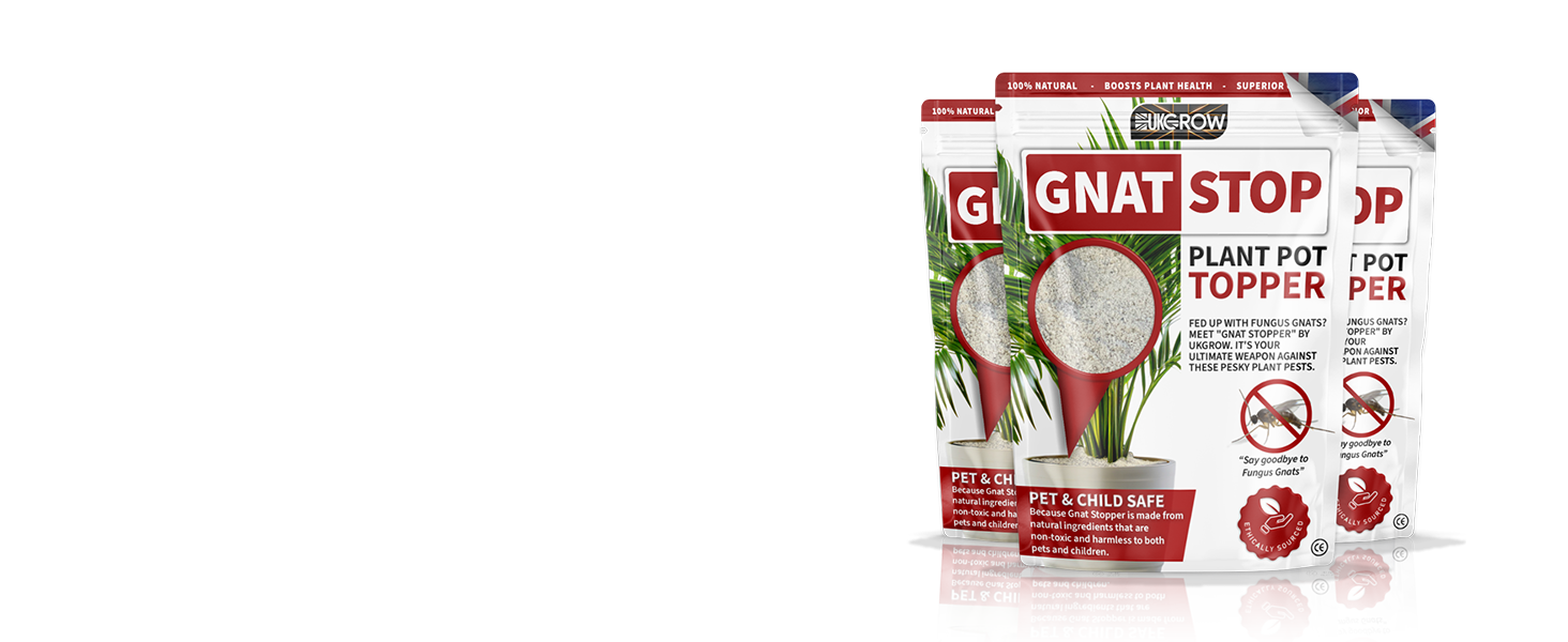 Gnat stop pot topper