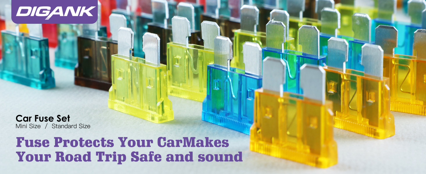 Car fuses 165Pcs
