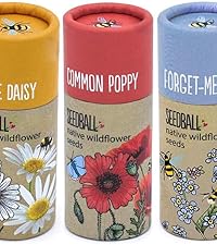 5X Seed Tubes