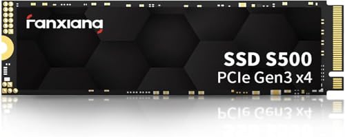 fanxiang 256GB M.2 SSD