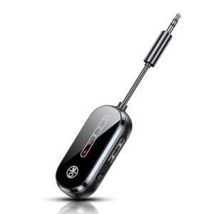 2 in 1 Bluetooth Transmitter Airplane