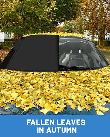 Car Windscreen Cover