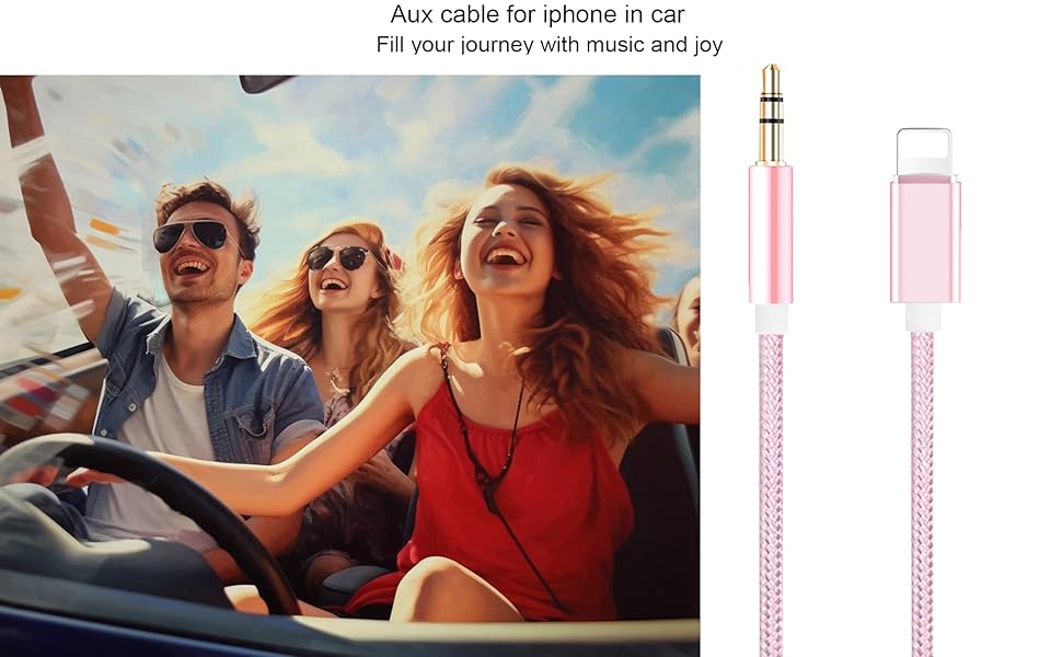ROSE AUX CABLE-1