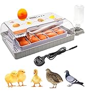 Egg Incubator 12 Egg Incubator for Hatching with Fully Automatic Egg Turning and Temperature Cont...