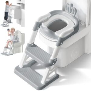 Potty Training Seat