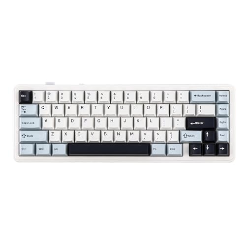 EPOMAKER x AULA F65 65% Wireless Mechanical Keyboard