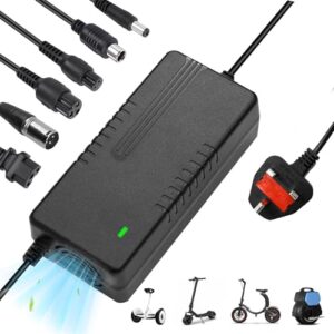 Electric Scooter Charger