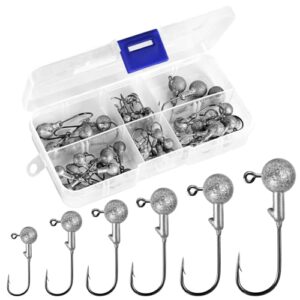 Annyswit 50 Pcs/6 Sizes Jig Heads Fishing Hooks Set