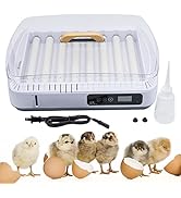 Treadle Chicken Feeder, 5Kg Chicken Automatic Feeder No Waste Poultry Trough with Weatherproof Li...