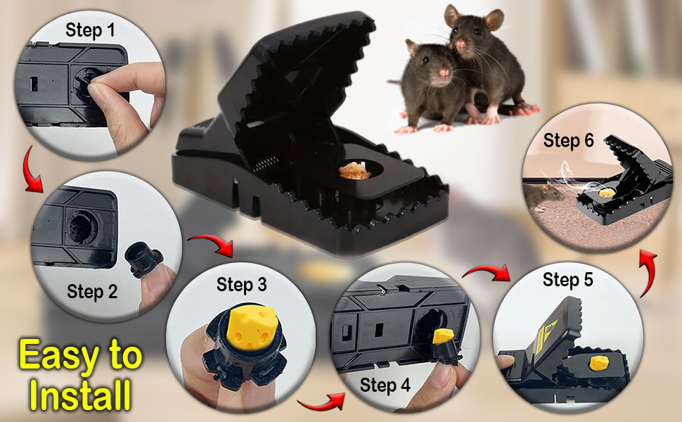 rat traps,rat trap,humane rat traps,rat catcher,large rat trap,outdoor rat trap,indoors,outdoor