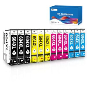 OINKWERE 12-Pack 604XL Ink Cartridges Replacement for Epson 604 Ink Cartridges Multipack for Expression Home XP-2200 XP-2205 XP-3200 XP-3205 XP-4200 XP-4205 WorkForce WF-2910 WF-2930 WF-2935 WF-295
