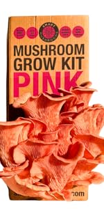 Pink Mushroom Kit