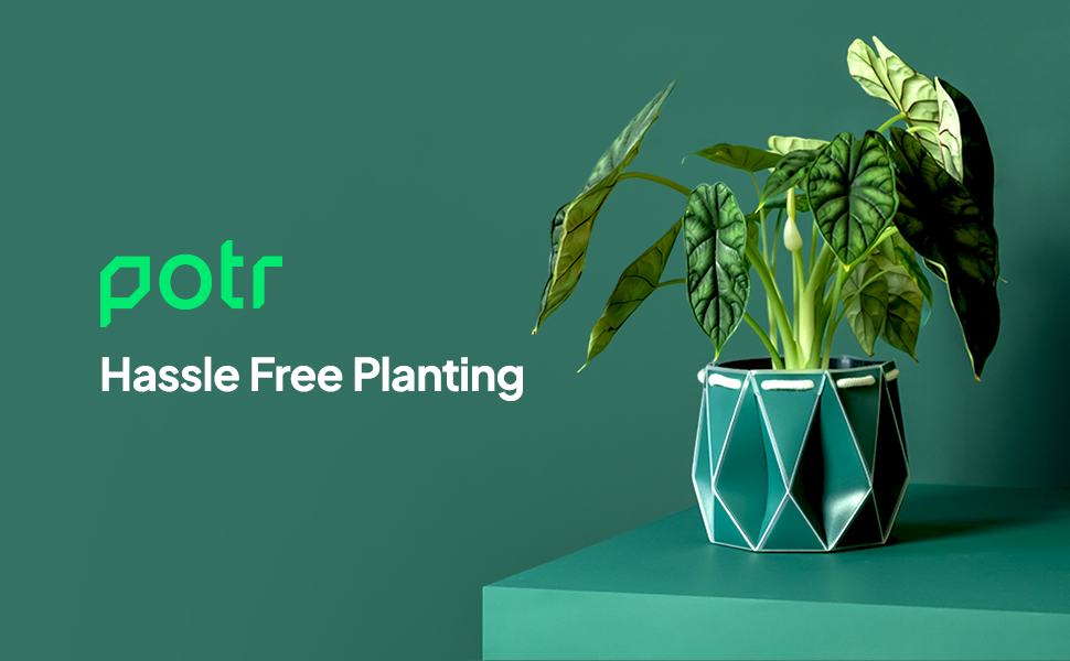 Potr Hassle Free Planting