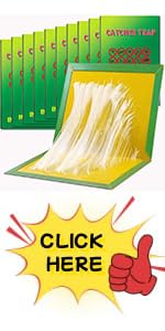 Multi-Use Boards Trap Pads - 10 Pack Large Extra Strong Board Trap Pad for Multiple Insects in In...