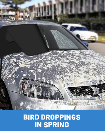 Car Windscreen Cover