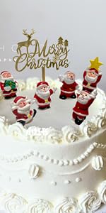 Christmas Cake Decorations