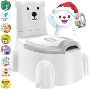 Toddler Potty Training Toilet