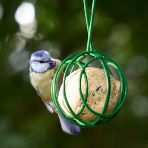 Hanging Fat Balls Feeders (Pack of 3) - Galvonised Iron - WEATHERPROOF Bird Feeders for Small Birds