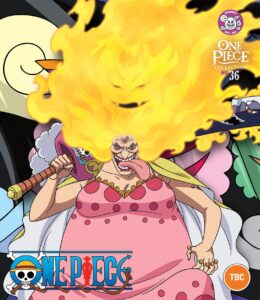 One Piece - Collection 36
