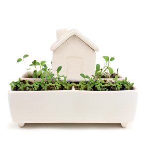 Gift Republic Self Watering House Herb Grow Kit Basil Rosemary Thyme Parsley Seeds Kitchen Garden Gift